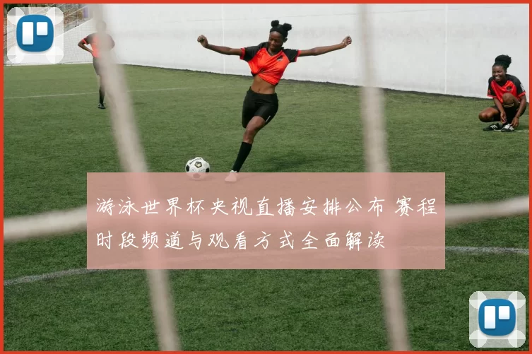 游泳世界杯央视直播安排公布 赛程时段频道与观看方式全面解读