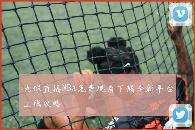 九球直播NBA免费观看下载全新平台上线攻略