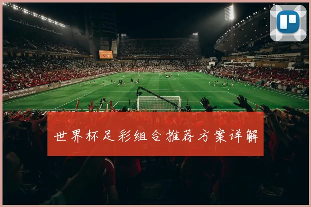 世界杯足彩组合推荐方案详解